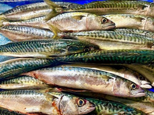 Seafood cookery class