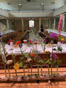 rows of flowers